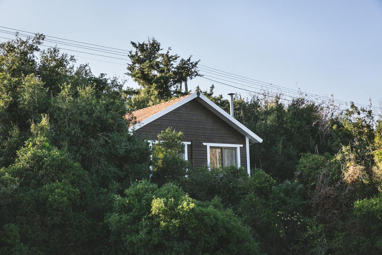 Live In The Woods Villa Mikhmannim Bagian luar foto