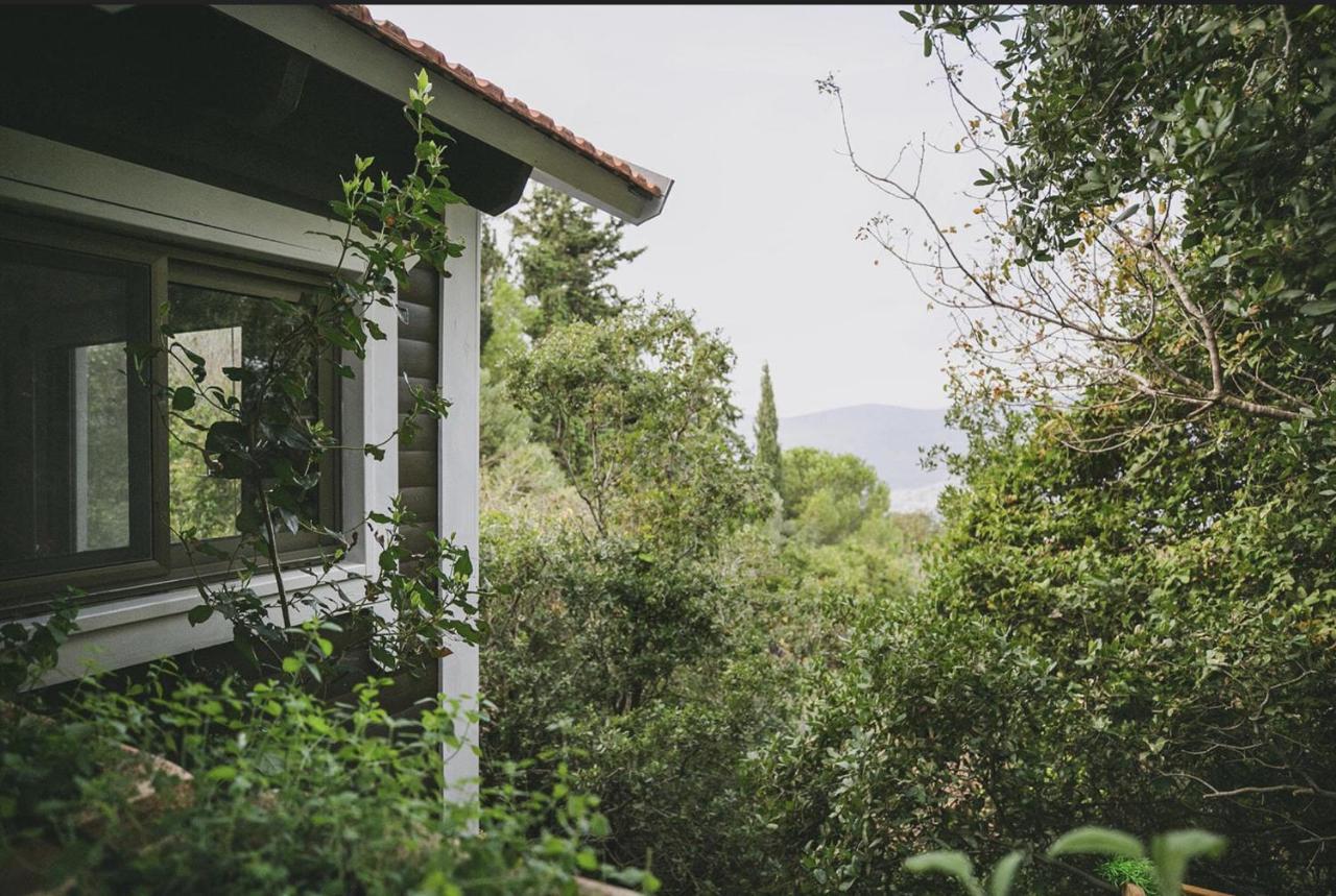 Live In The Woods Villa Mikhmannim Bagian luar foto