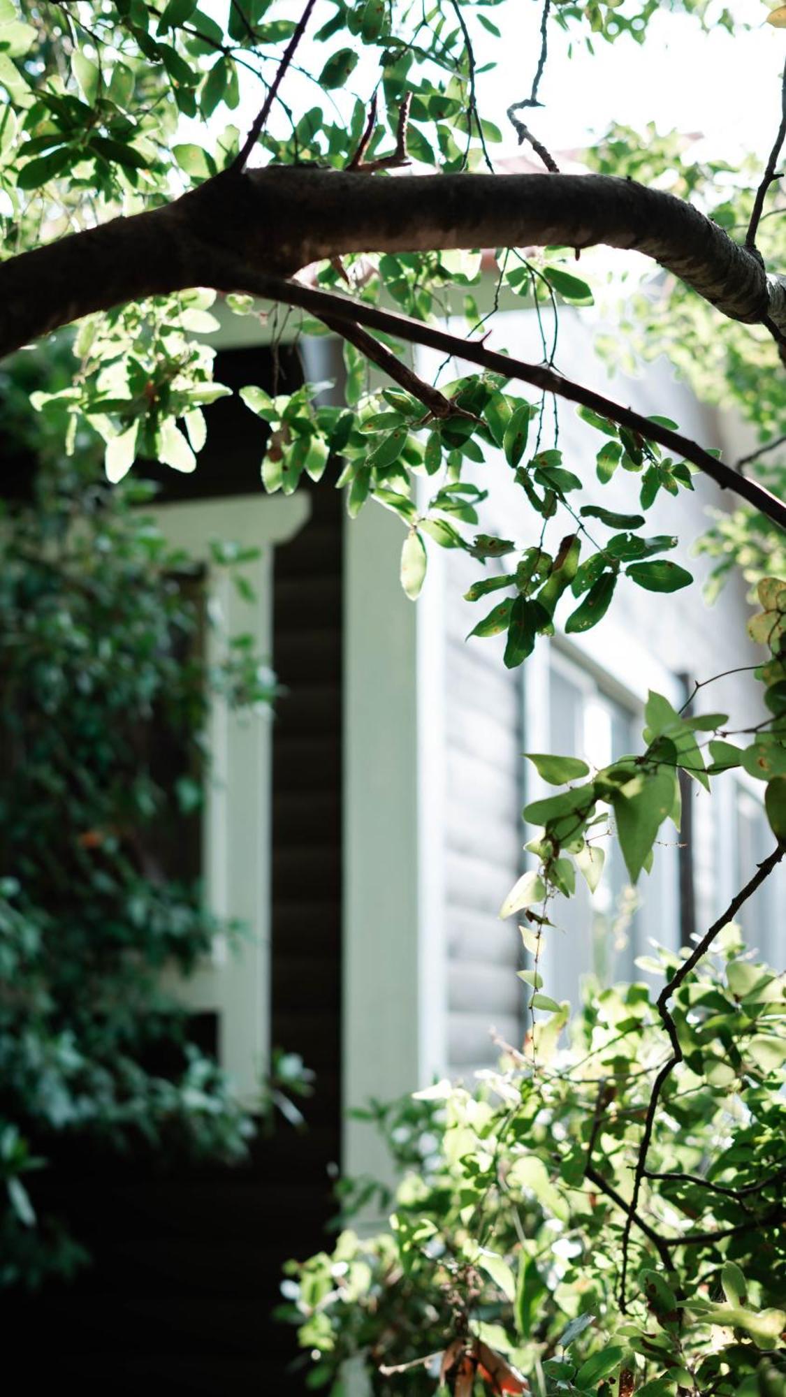 Live In The Woods Villa Mikhmannim Bagian luar foto